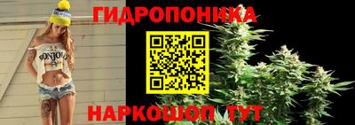 соль курить ск Новозыбков