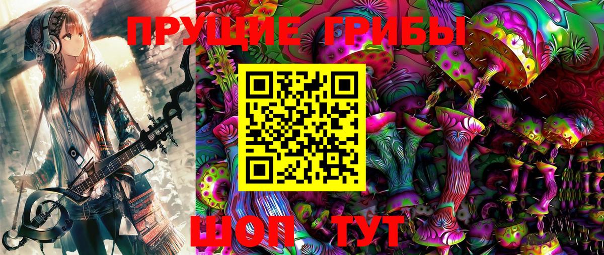 Псилоцибиновые грибы прущие грибы Элиста