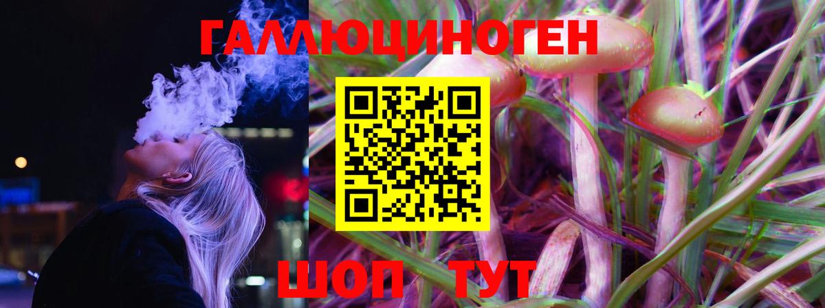 Псилоцибиновые грибы Psilocybine cubensis  Вход с VPN  Элиста 